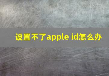 设置不了apple id怎么办